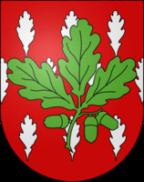 logo de l'entité Chêne-Bourg