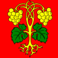 logo de l'entité Raron